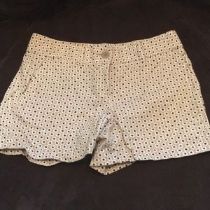 LOFT shorts